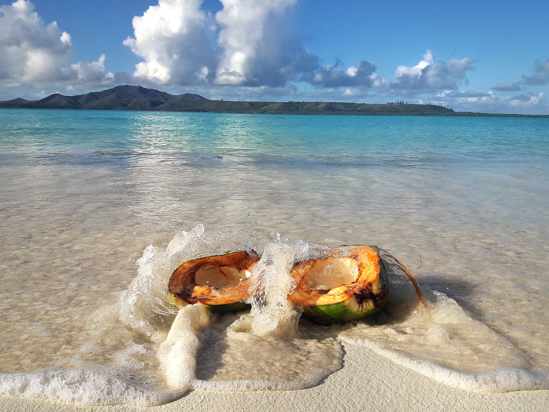Noix de coco éclaboussée par l'eau