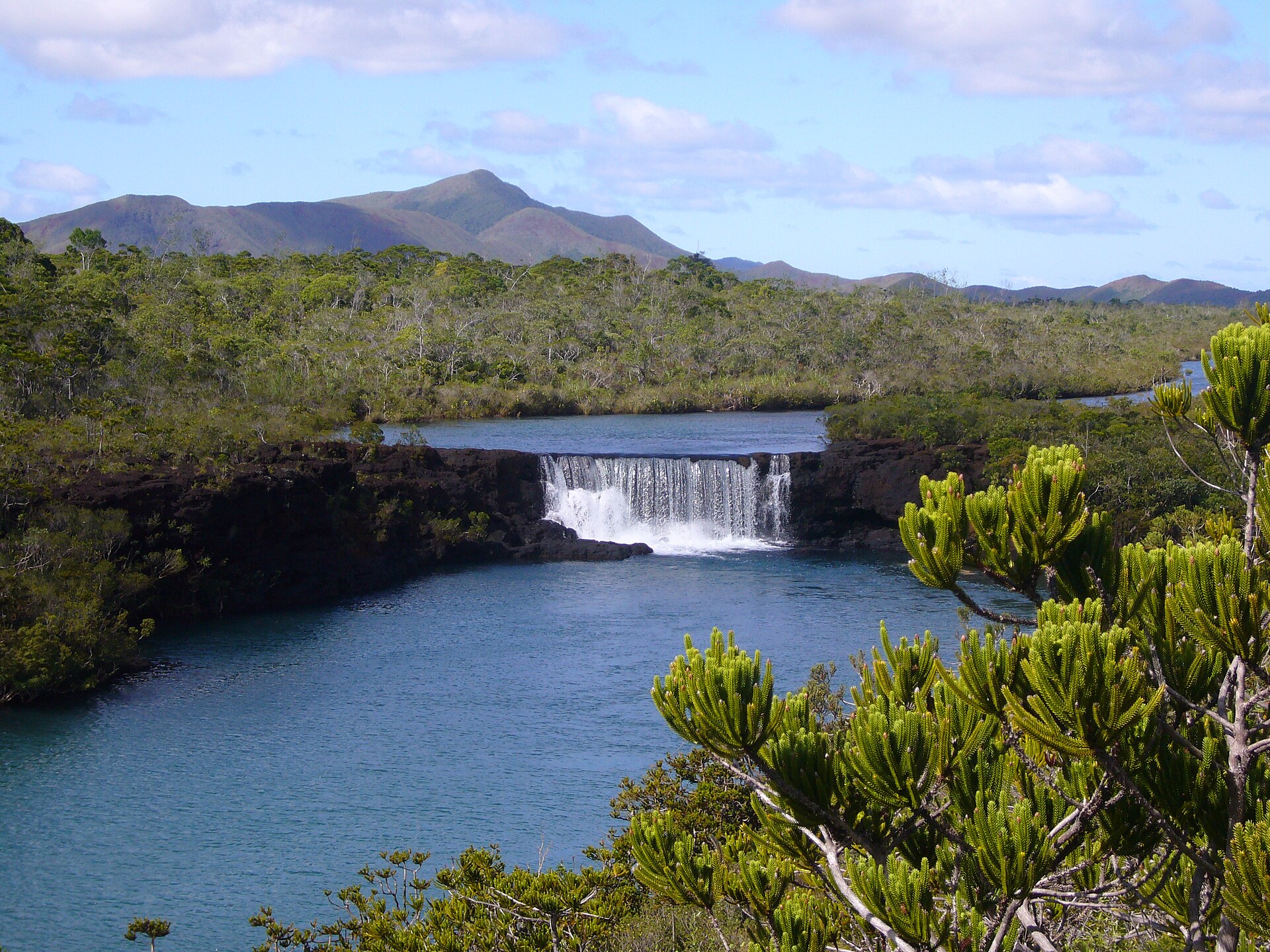 Madeleine Falls, with Neocallitropsis pancheri in foreground. New Caledonia.